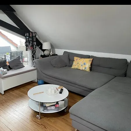 Helle Dachwohnung Mit Dachterasse Waldmohr